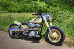 Harley Davidson