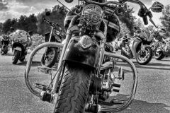 Harley-Davidson