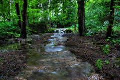 Schoener-bachlauf