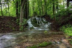 Sinterassen-Weissenbrunn-am-wald