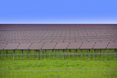 Solarfeld