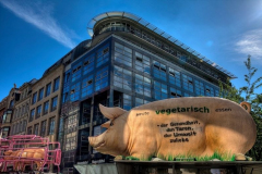 Esst Vegetatisch